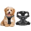 Light up Dog Harness, Adjustable Small Dog Harness, No Pull