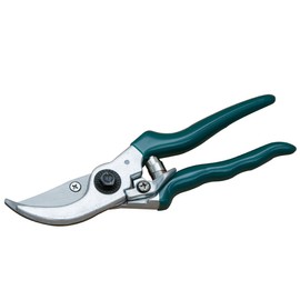 Siena Garden 560866 Garden & Rose Shears, Flower Shears, Green