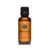 P&J Trading P&J Trading Bakery Set Bundle - 6 Premium Grade Fragrance Oils - Pumpkin Pie, Cupcake, Sugar Cookie, Coffee Cake, Snickerdoodle, Gingerbread