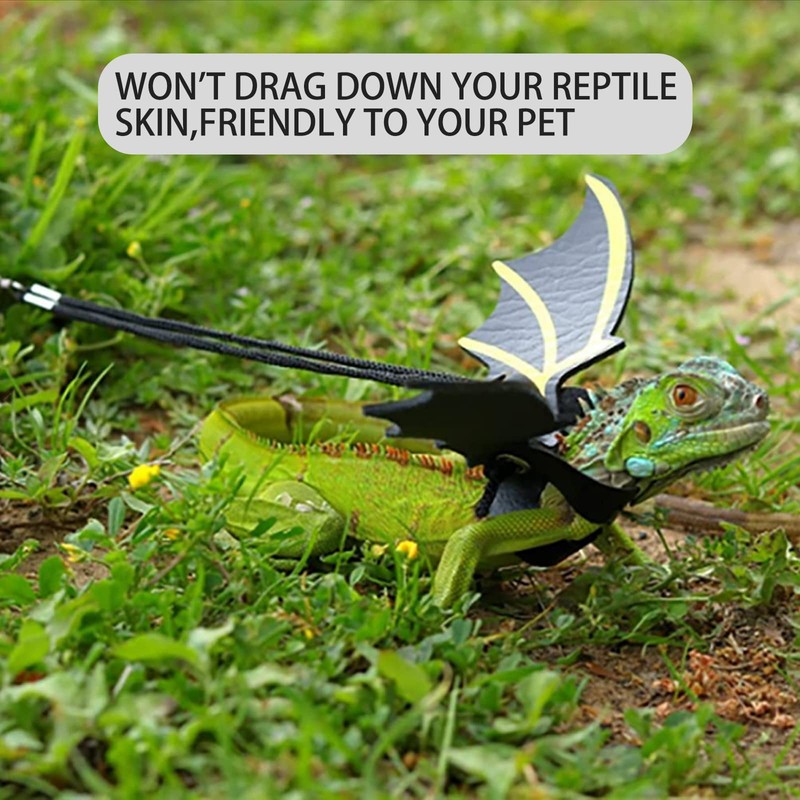 Soft Leashes for Small Pets -Ideal for Bearded Dragons, Amphibians