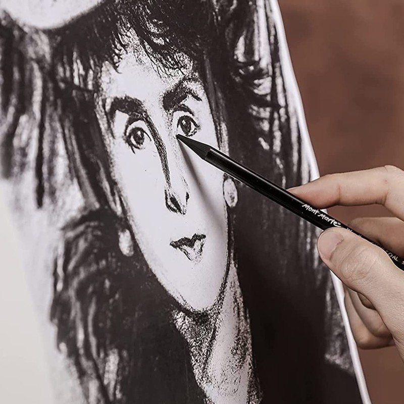 MINIEASE Charcoal Pencils For Drawing Perfect For Beginners, Professionals And