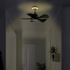 GLOBE Electric 37000106 30" Ceiling Fan with LED Light, Nightlight,