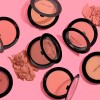 Wet n Wild Set Color Icon Blush Con Brocha Wet