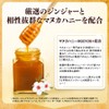 NaTruly（ナトゥリー） ジンジャーシロップ マヌカハニー ストロング 400g 辛口 パウチ 生姜シロップ 添加物不使用