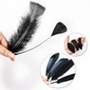 FeelfunFeather Pheasant Feathers -30pcs 5 Style Natural Mixed Decorative Spotted