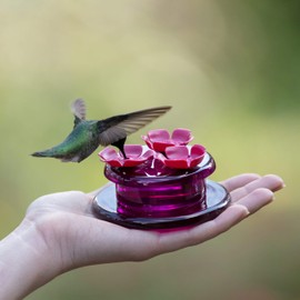 Perky-Pet 9100 Handheld & Tabletop Hummingbird Feeder