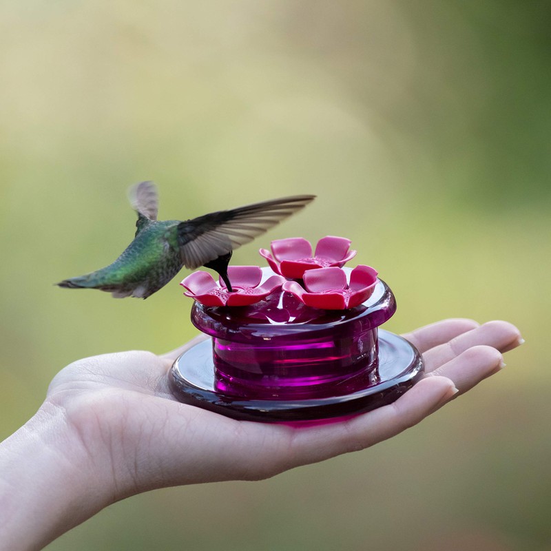 Perky-Pet 9100 Handheld & Tabletop Hummingbird Feeder