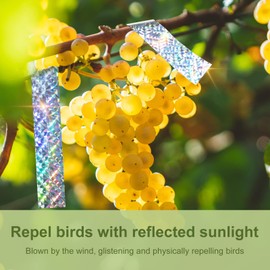 OFFO Bird Reflective Tape, 100m(330feet) Bird Scare Tape Pigeon Deterrent Dual Sided Scare Tape 2.5cm(1 inch) for Gardens and Roofs