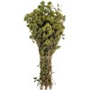 Certified Organic Greek Dried Mountain Oregano Bunch 85g - 1.95kg