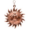 Tarini Gallery Surya Narayan Yantra Vastu Copper Handmade Surya Dev
