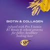 OGX Thick & Full + Biotin & Collagen Conditioner 385mL