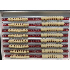 Dentsply New Hue Dentist-Dental Lab-Denture Teeth Porcelain 27M   UL   79/A3.5