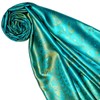 Lorenzo Cana Luxury Men's Scarf Jacquard Woven 100% Silk Paisley