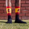 Sox Spain Flag Socks (Medium)