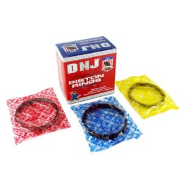 DNJ PR644.20 Juego de anillos de pistón de motor de tamaño compatible con Infiniti FX35 2001-2017 3.5L-4.0L V6 DOHC 24V 3498cc