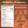 Teeccino Miraculous Mushrooms Adapt & Protect Coffee Alternative, 10 Oz