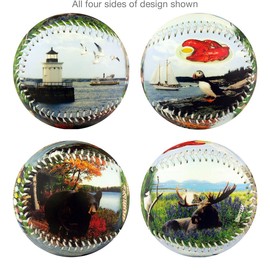 EnjoyLife Inc Maine Souvenir Baseball