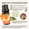 Ecodrop Organic Neroli Essential Oil 10ml | Citrus Aurantium