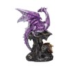 Nemesis Now Hatchling Protection Dragon and Dragonling Parent Figurine Purple
