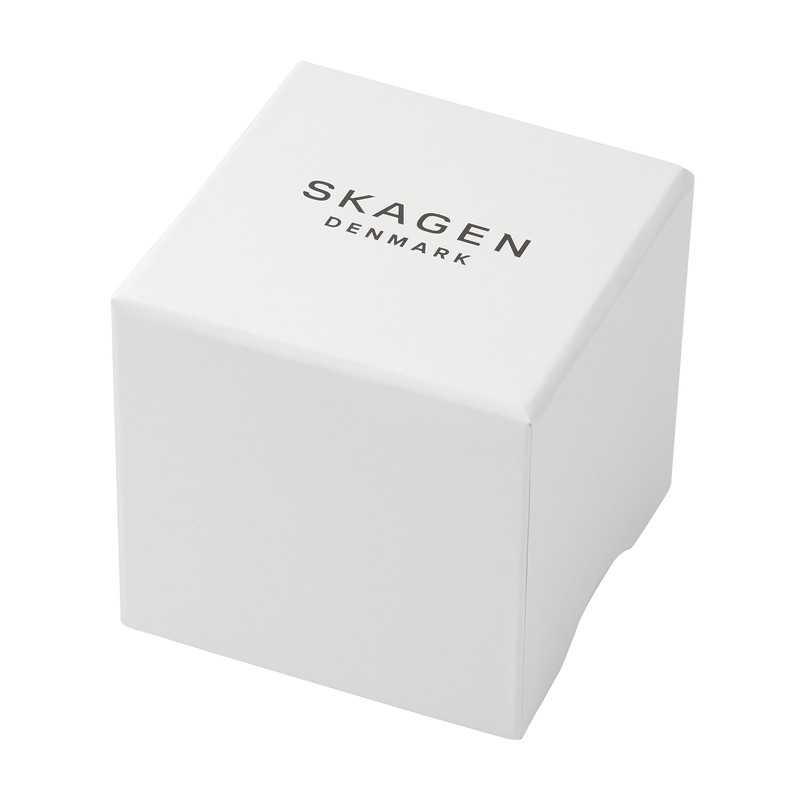 Skagen Signatur Gray Analog Watch SKW6913