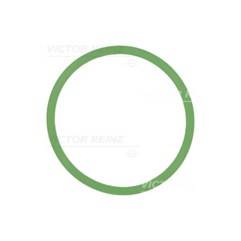 Reinz 71-37599-00 Gasket, Induction Pipe
