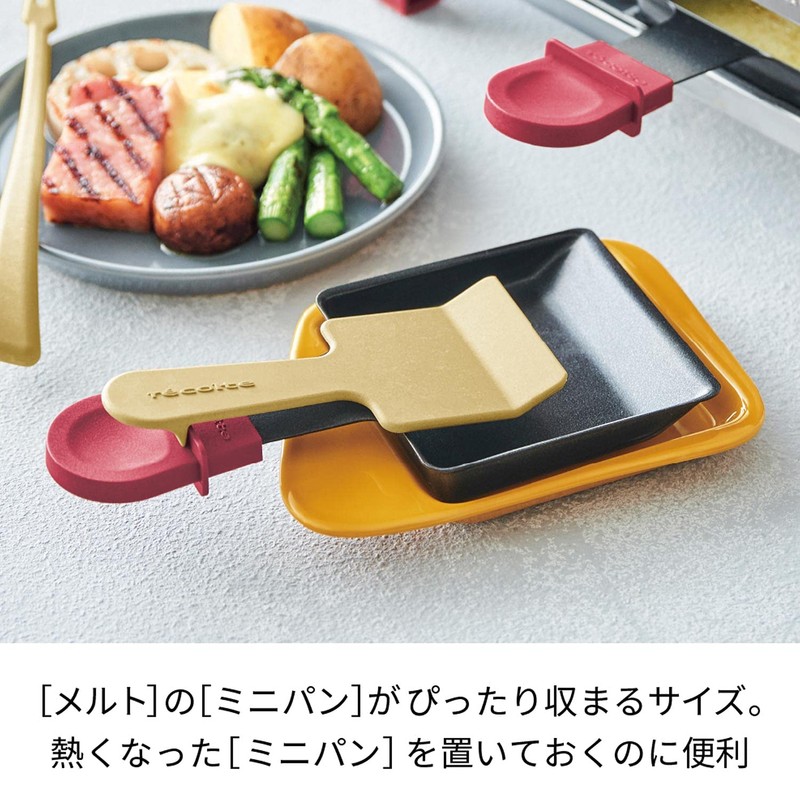 Recoort Raclette & Fondue Maker Melt Mini Pandish/Gray [Set of