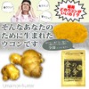 ウコン 金の鬱金 (粉末) 沖縄県産無農薬ウコン100％使用 生姜エキス配合 30g×3P