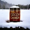 Zen Bear | Honey Cocoa Chaga | A Light Chocolate