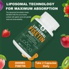 Liposomal Fisetin Supplement, 2000MG, 98% Pure Fisetin Polyphenols Antioxidants, with