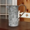 Stonebriar Conservatory Antique Galvanized Metal Watering Can with Handle