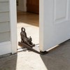 Home Locomotion Stretching Cat Door Stopper
