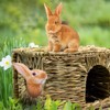 BWOGUE Extra Large Grass House for Rabbits,Hand Crafted Natural Grass