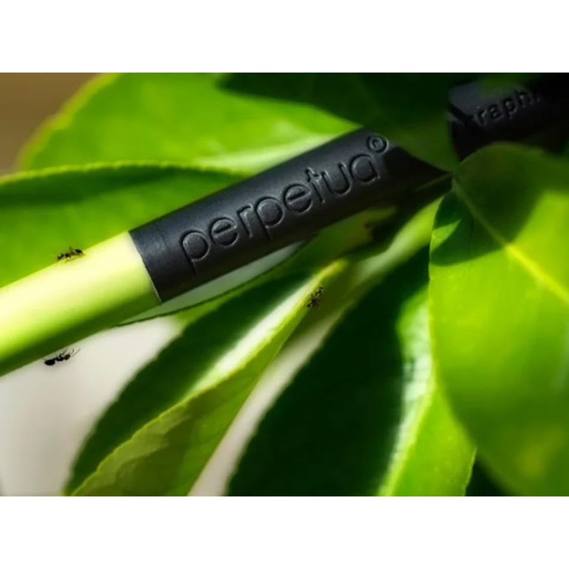 Perpetua Graphite Pens, Durable & Robust HB Pencils Made of