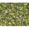 Sacred Blossom Farm | Turtle | Loose Leaf Herbal Tea