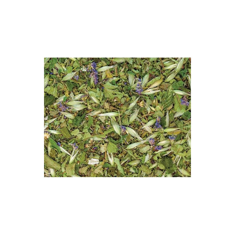 Sacred Blossom Farm | Turtle | Loose Leaf Herbal Tea