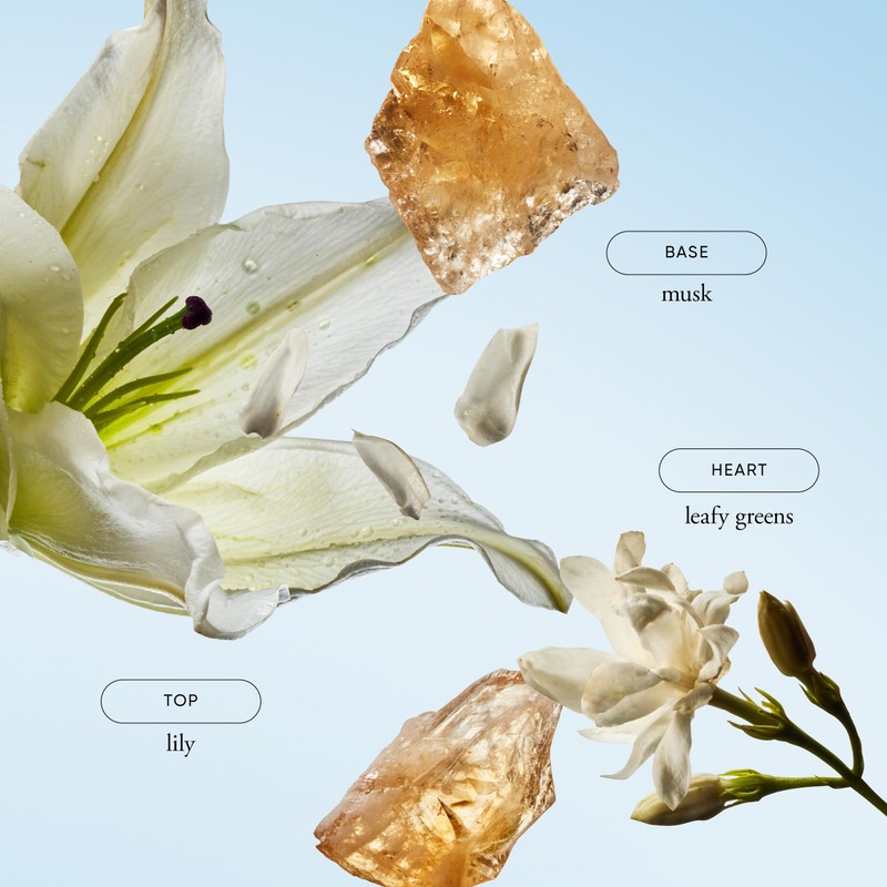 philosophy pure grace hydrating bath & shower gel - efficiently