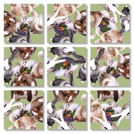 B Dazzle Bunnies Scramble Squares 9 Piece Puzzle