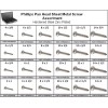 RedBoarChain Pan Head Phillips Sheet Metal Screw Zinc Assortment in