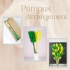 Green & Yellow Bunny Tails Dried Summer Flowers for Vase