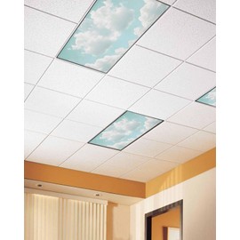Magnetic Light Cover for Classroom Drop Ceiling,2 Pack 4x2 Ft Sky Light Blue Clouds Gradient Vintage Fluorescent Light Covers for Office Home Ceiling Light Lampshade
