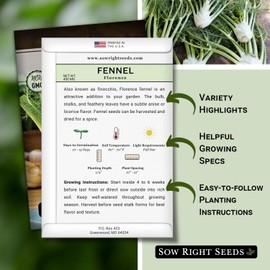 Sow Right Seeds - Florence Fennel Seed for Planting - Non-GMO Heirloom Packet with Instructions to Plant and Grow in Your Herbal Garden - Great for Seasoning and Cooking - Attract Pollinators (1)