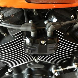 HDBUBALUS Ignition Coil Cover Fit For Harley Softail Standard Breakout Street Bob Fat Boy Low Rider 2018-2025 Touring 2025-up (All Black)