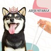 2 Pcs Dog Crown Headband Dog Tutu Dress Set Crystal