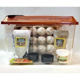 Jungle Bob Dubia Keeper Kit with 11x8x8 Escape-Proof Plastic Tank & Ventilated Lid, Bug Vittles, Thirst Quencher, Vitamins, Egg Crate, & Feeding Dish