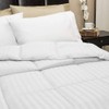 Blue Ridge Home Fashions 350 Thread Count Cotton Damask Down
