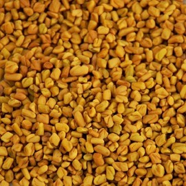 Organic Fenugreek (Methi) Seeds Whole 500g. Certified to EU Organic Standards