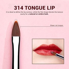 Jessup Juego de Brochas para Labios,Brochas Profesionales Maquillaje Labios Aplicación Sin Rayas Lápiz Labial, Pelo Sintético Primera Calidad,Define el Contorno y Acentúa Tu Labio 5 Piezas T325