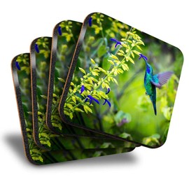 Destination Vinyl ltd Great Coasters (Set of 4) Square - Green Violet Ear Hummingbird Bird Drink Glossy Coasters/Tabletop Protection for Any Table Type #16520