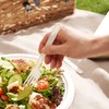 HAAGO 100 PLA Forks Cutlery Made of Bioplastic - Biodegradable