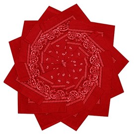 TZ Promise 12 Pack 100% Cotton Paisley Bandana Head Wrap (Red)